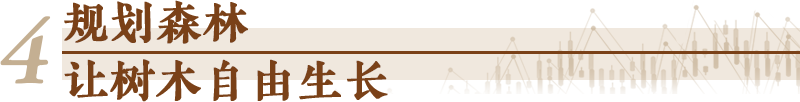 "" ""